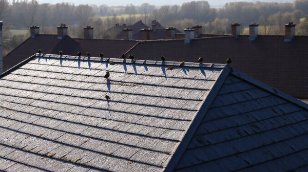 Top 5 critères pour sélectionner une entreprise de toiture à Forbach